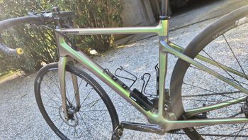 Used Cannondale Synapse Carbon 2 RL 2024 2024 Road & Gravel, Green — image 21 of 22
