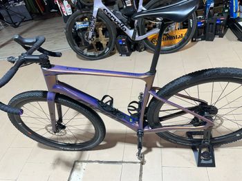 Giant, Revolt Advanced Pro 1 2025