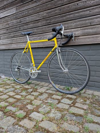 Used Gion GION Italia 1994 Road & Gravel, Orange — image 5 of 18