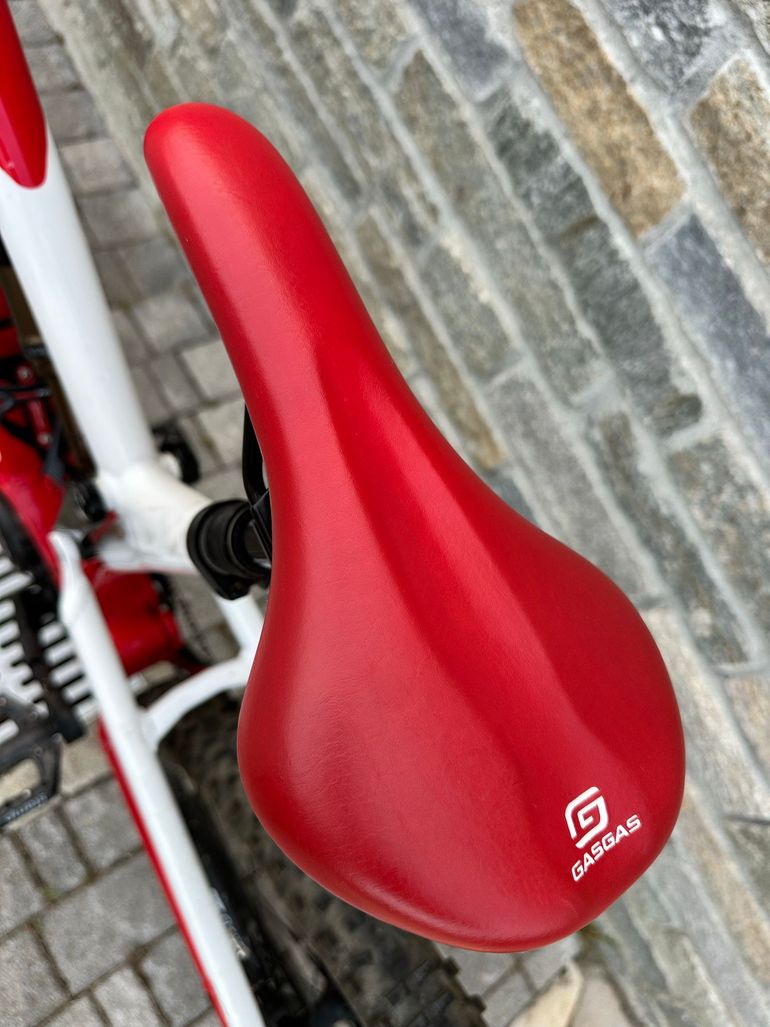 Used GASGAS Enduro Cross 11.0 2021 2021 Mountainbike, White, 29, 27.5 — image 8 of 8