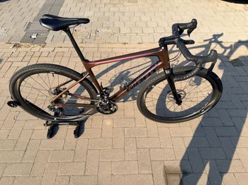 Giant, Revolt, Advanced Pro 1 2021