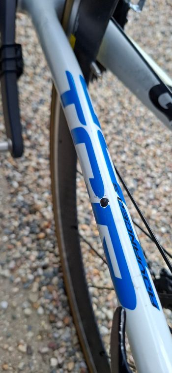 Used Giant Tcr Shimano 105 2010 Road & Gravel, Bianco — image 13 of 18