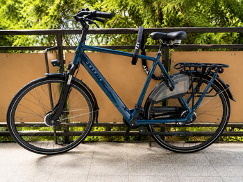 Gazelle, Orange C7+ High-Step 2025