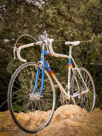 Raleigh, Raleigh Custom Other Shimano