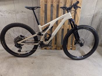 Specialized, Specialized Stumpjumper EVO Expert Carbone 2024