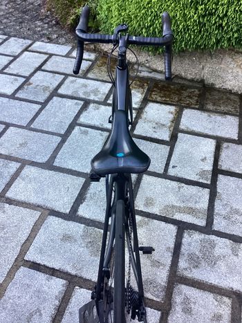 Trek, Émonda SLR 6 Disc 2020