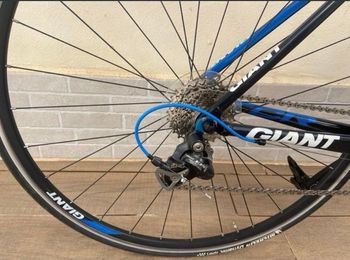 Used Giant TCR Composite 2011 2011 Road & Gravel, Blue — image 3 of 6
