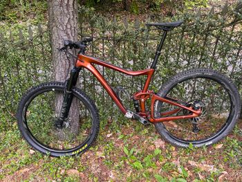 Giant, Trance Advanced Pro 29 2 2020