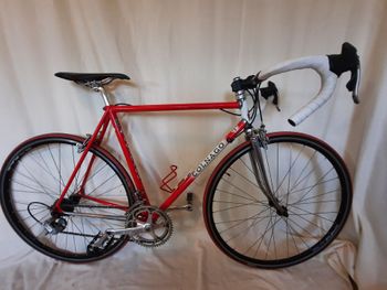 Colnago, Colnago Custom Campagnolo Veloce