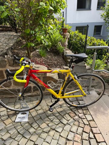 Brugt Wilier Euasion Competition 2001 Road & Gravel — billede 12 af 16