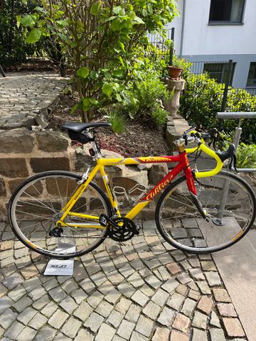 Gebrauchtes Wilier Euasion Competition 2001 Road & Gravel