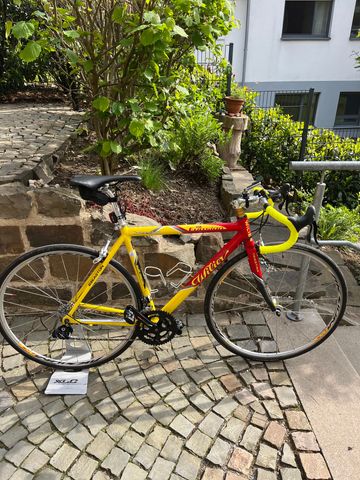Brugt Wilier Euasion Competition 2001 Road & Gravel — billede 2 af 16