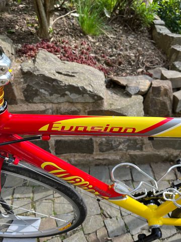 Brugt Wilier Euasion Competition 2001 Road & Gravel — billede 15 af 16