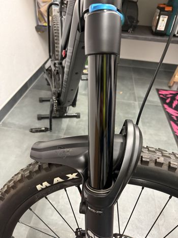 Used Canyon Canyon Torque AL 6.0 2021 Mountainbike, Black — image 23 of 28