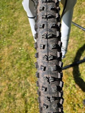 Used Focus Focus Black Forest Rh5 26 2012 Mountainbike, White — image 8 of 8