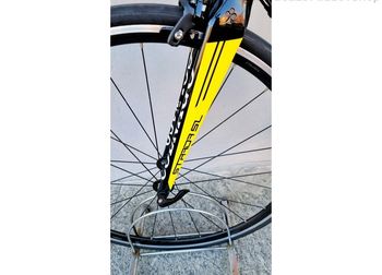 Used Colnago Colnago Strada SL 54s 2017 Road & Gravel, Black — image 10 of 19