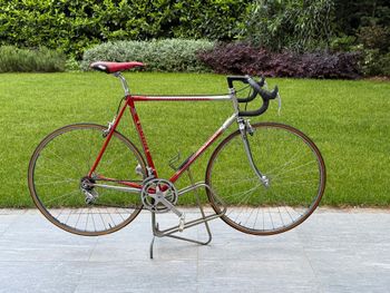 Colnago, Master Other Campagnolo