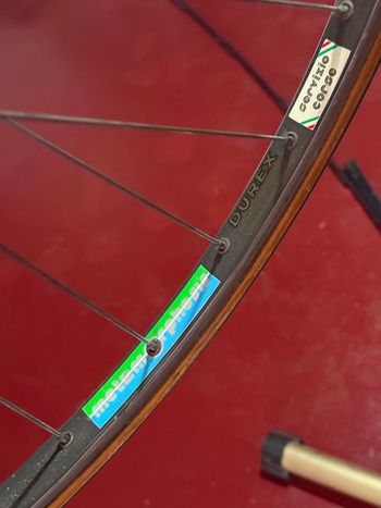 Used Colnago Master Other Campagnolo 1985 Road & Gravel, Red — image 21 of 28