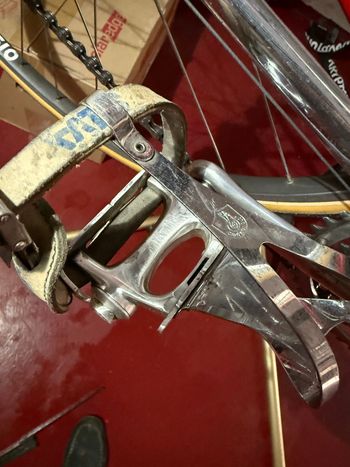Used Colnago Master Other Campagnolo 1985 Road & Gravel, Red — image 14 of 28
