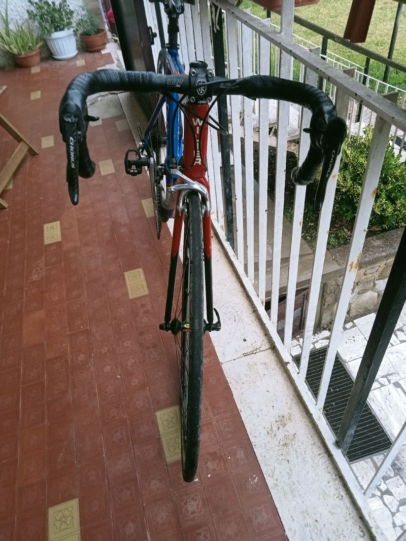 Used Wilier Custom Campagnolo Chorus 2005 Road & Gravel, White — image 5 of 6