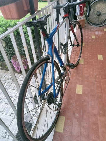 Used Wilier Custom Campagnolo Chorus 2005 Road & Gravel, White — image 4 of 6