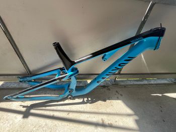 Canyon, Neuron CF 9 2021 Frameset