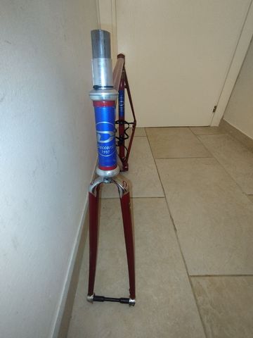 Used Daccordi Custom Frameset 2023 Road & Gravel, Red — image 5 of 8