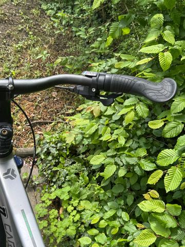 Used Carver Custom Shimano Deore XT 2024 Urban, Light Gray — image 6 of 15