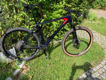 BULLS, Black Adder RS 2022