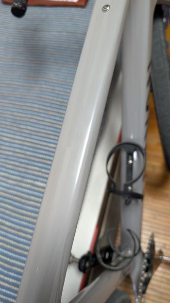 Used Canyon Grizl CF SL 8 1by Ekar 2023 2023 Road & Gravel, Light Gray — image 21 of 23