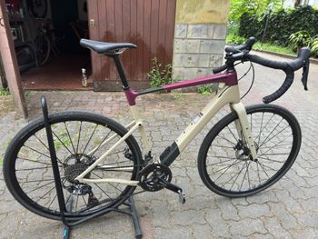 Cannondale, Topstone Carbon 3 L 2023