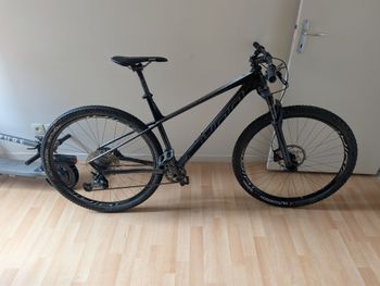 SUNN, EXACT S2 2021