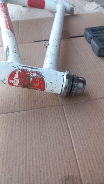 Used BH BH Custom 1990 Youth, Weiß — image 4 of 11