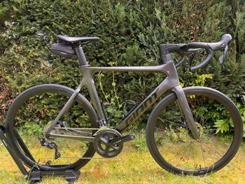 Giant, Propel Advanced 2 Disc 2021