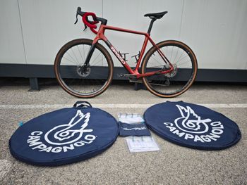 Basso, Palta Campagnolo Ekar 2025