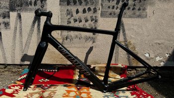 Specialized, Diverge Expert Carbon 2024 Frameset