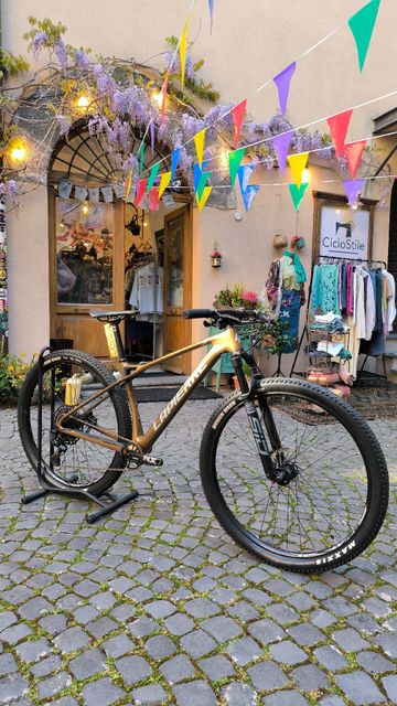 Used Lapierre Prorace CF 6.9 2023 2023 MTB