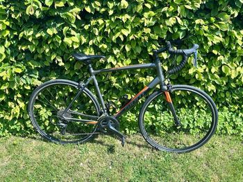 Giant, Giant Contend SL 2 Disc