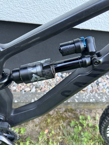 Canyon, Canyon Torque CF 8.0