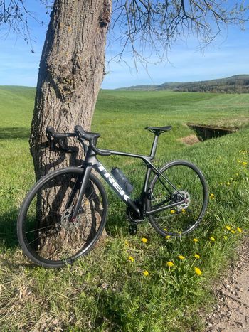 Trek, Madone SL 5 Gen 8 2025