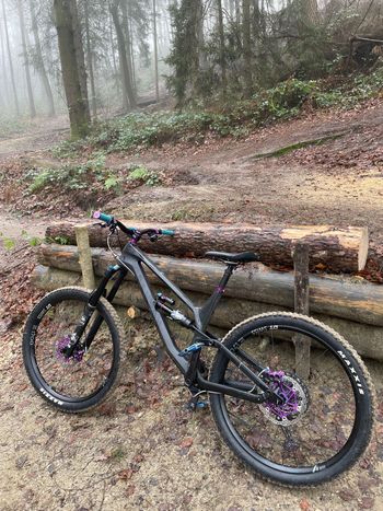Canyon, Torque CF 8.0 2020