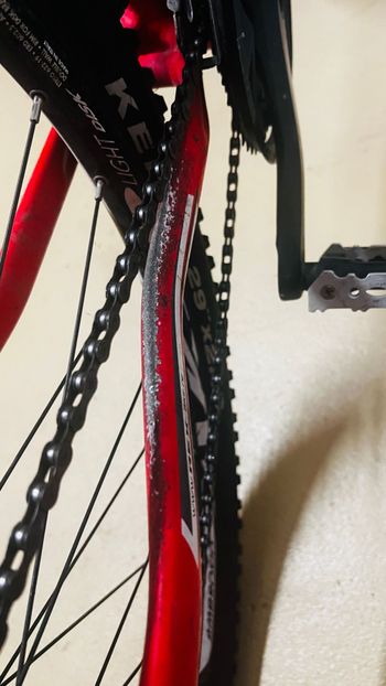 Used REX BERGSTEIGER 6.5 2016 Mountainbike — image 3 of 11