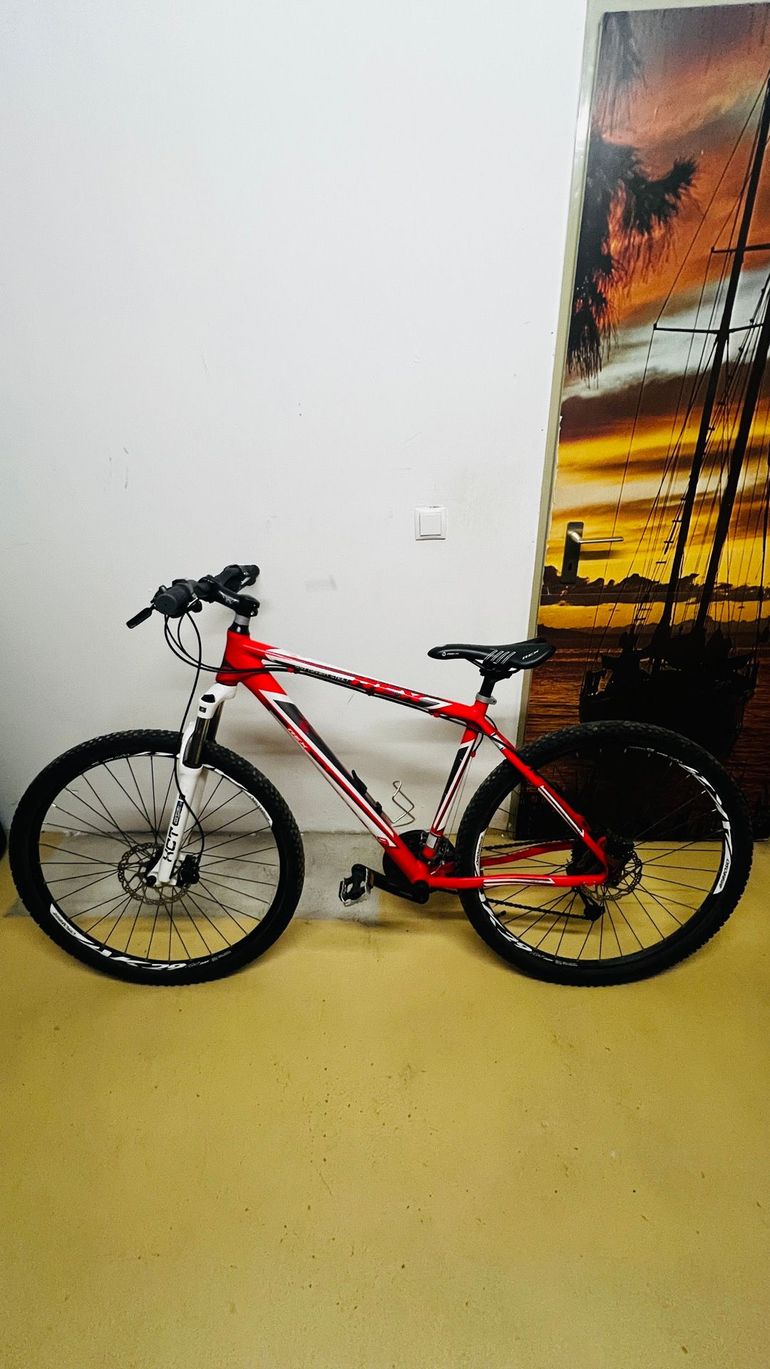Used REX BERGSTEIGER 6.5 2016 Mountainbike — image 1 of 11