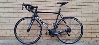 Used Olympia Ego RS Two 2017 Road & Gravel