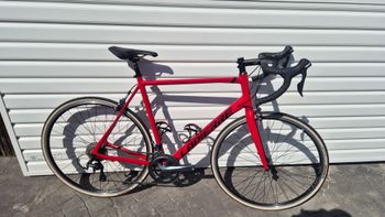 Lapierre, Sensium 3.0 2022