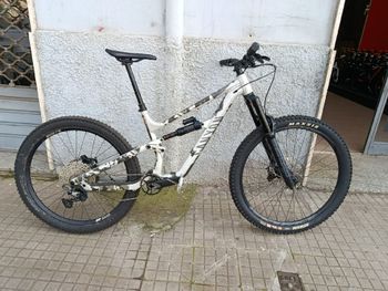 Canyon, Torque 5 (Mullet) 2023