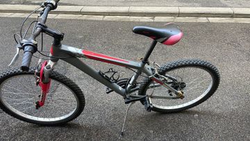Gebrauchtes Kuster 24.0 2017 2017 Mountainbike, Rot — Bild 1 von 6