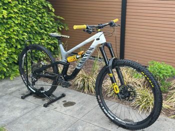 Canyon, Torque CF CLLCTV FW 2024