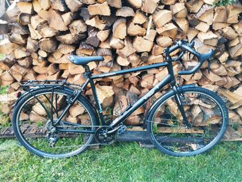 Orbea, Hybride Gravel/ Randonnée