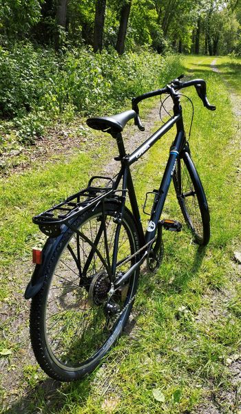 Used Orbea Hybride Gravel/ Randonnée 2005 Road & Gravel, Black — image 2 of 7